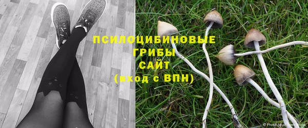 дурь Пересвет