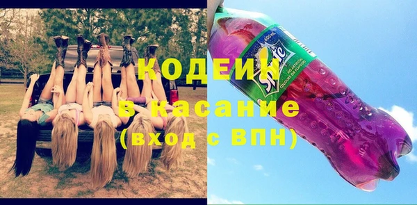 дурь Пересвет