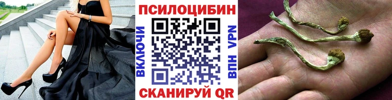 Галлюциногенные грибы Psilocybine cubensis  Торжок 