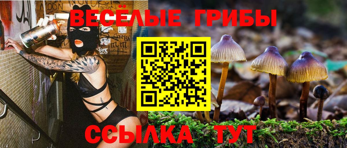 Псилоцибиновые грибы MAGIC MUSHROOMS Торжок