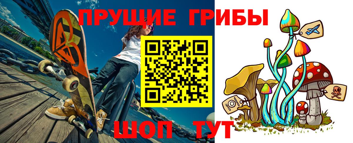 купить   Псилоцибиновые грибы Magic Shrooms  Вход с VPN  Псилоцибиновые грибы MAGIC MUSHROOMS  Торжок 